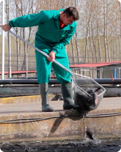 Nuestra cadena de valor.