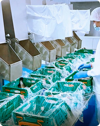 Nuestra cadena de valor.