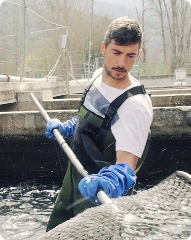 Piscifactoria riverfresh